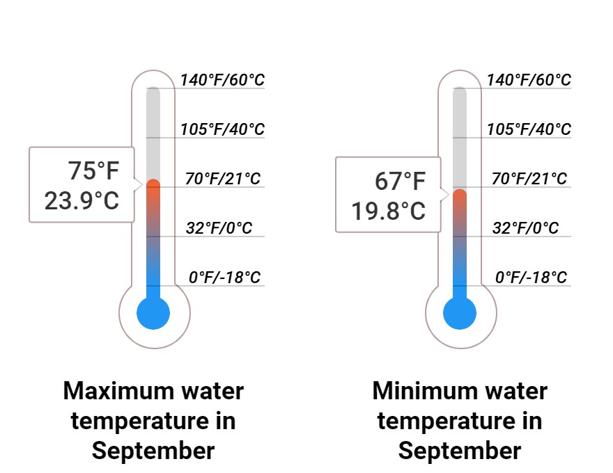 Average Sea temperature